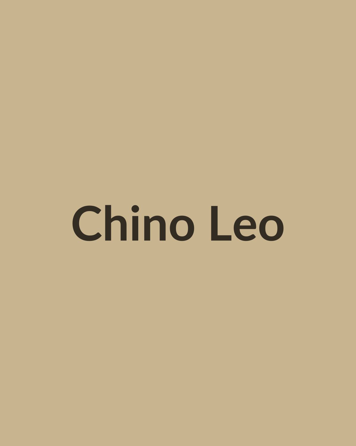Chino Leo in Sand